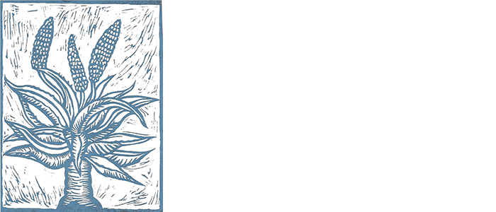 Solana Succulents