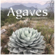 SOLD OUT! Agaves Species Hybrids Cultivars