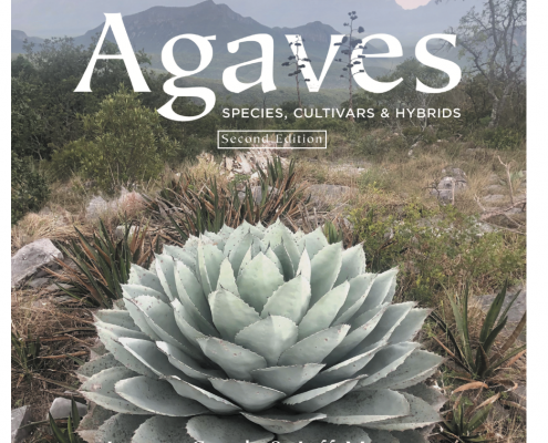 Agaves Species Hybrids Cultivars 2nd Edition